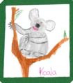 Koala.gif