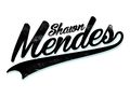 Shawn Mendes.jpg